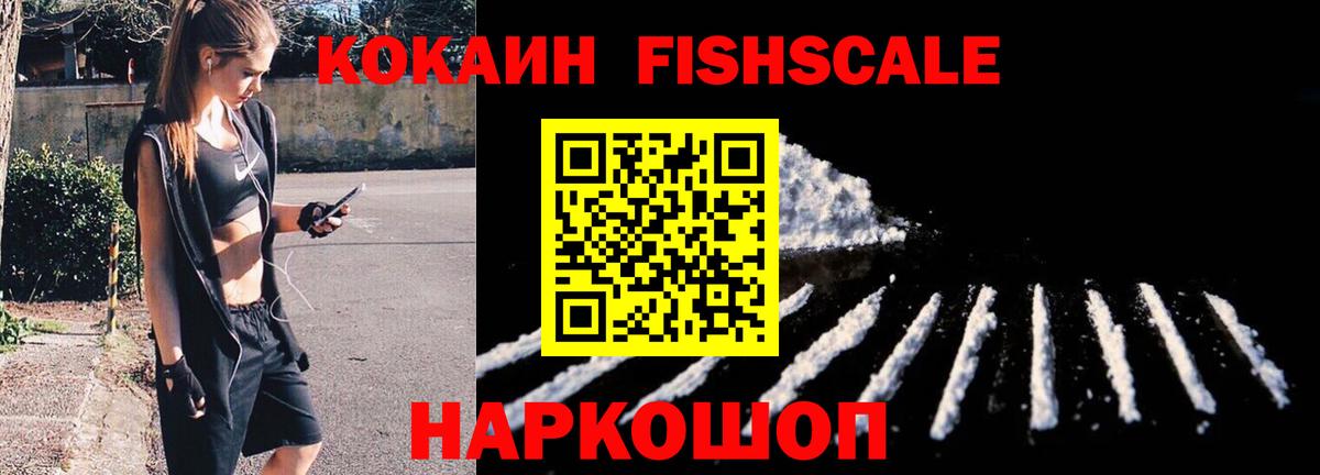 КОКАИН Fish Scale  Вход с VPN  Горячий Ключ 