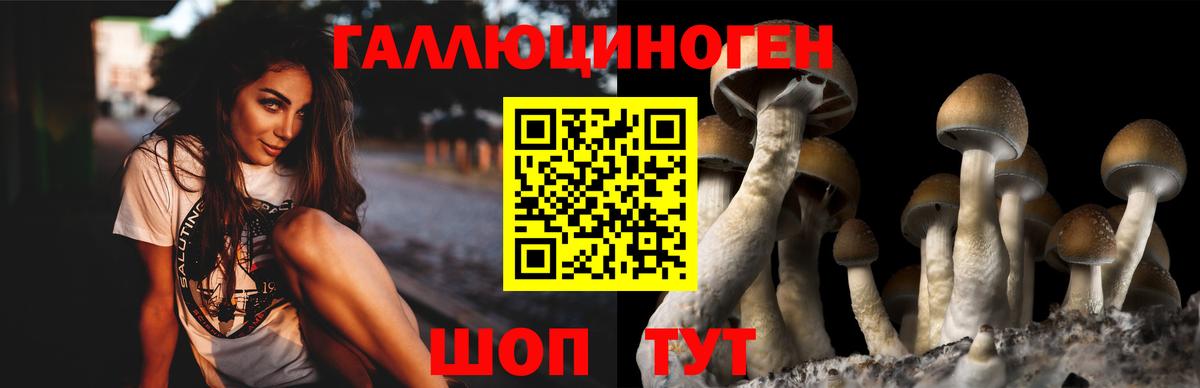 Псилоцибиновые грибы ЛСД  Вход с VPN  Горячий Ключ 